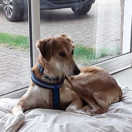 123741464 2174688349328443 7515462189864136127 O