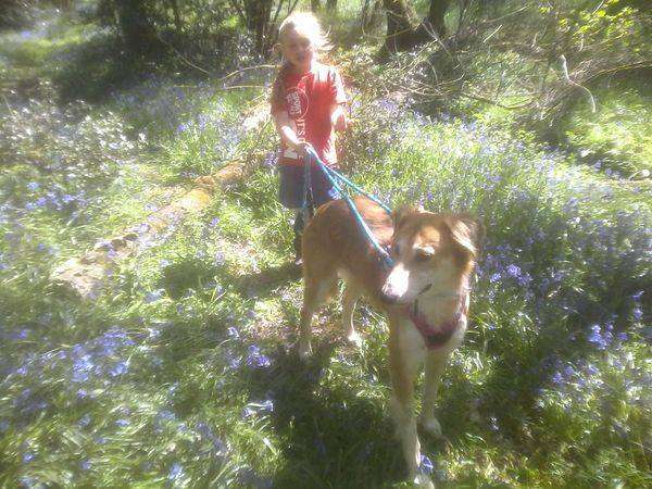 124541580 2174688459328432 2553338249091750490 N