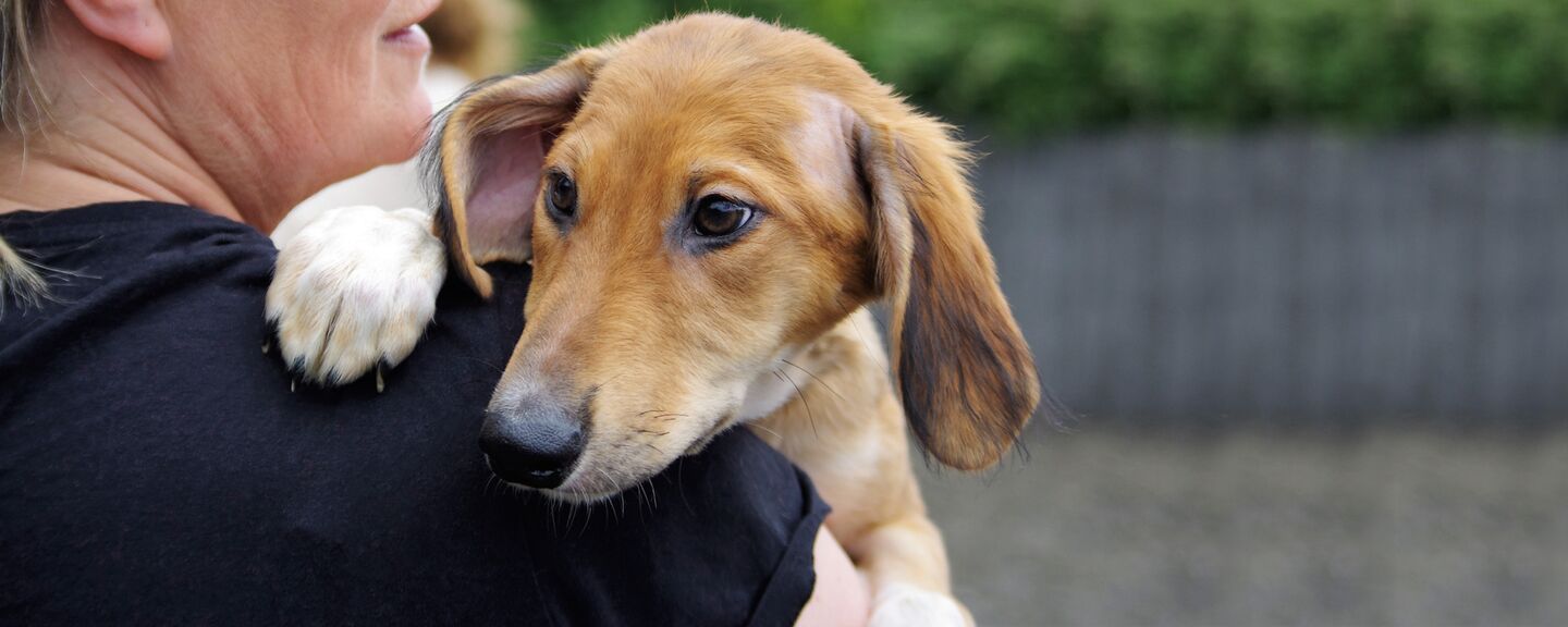 74072Dcf125Abc2749E8Aa076133B9A56928Acad