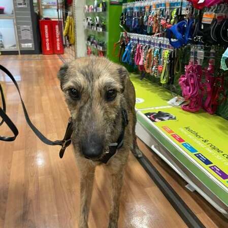 277755394 2592496570880950 2538756007622664763 N