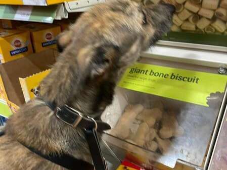 277565497 2592496580880949 4701513549277511222 N