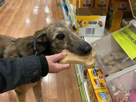 277775878 2592496594214281 1954590095755854445 N