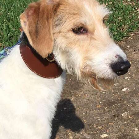 277759820 2592495287547745 186803893586272195 N