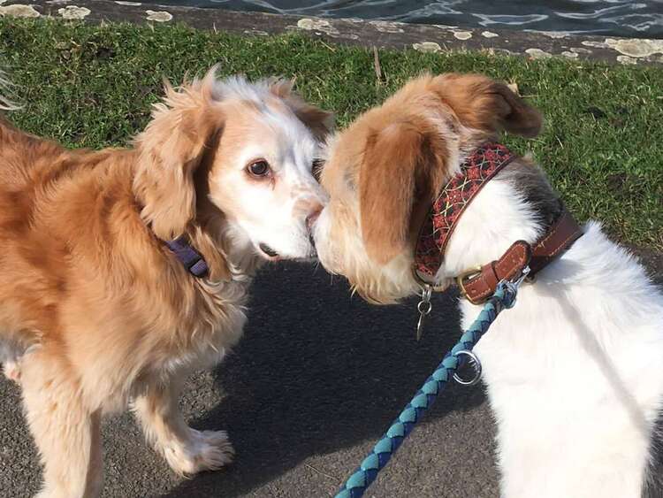 277569561 2592495330881074 8075780640190499896 N