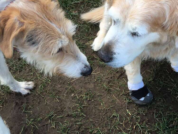 277665304 2592495337547740 8796964316300983517 N