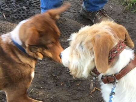 277733795 2592495320881075 604209844370350204 N