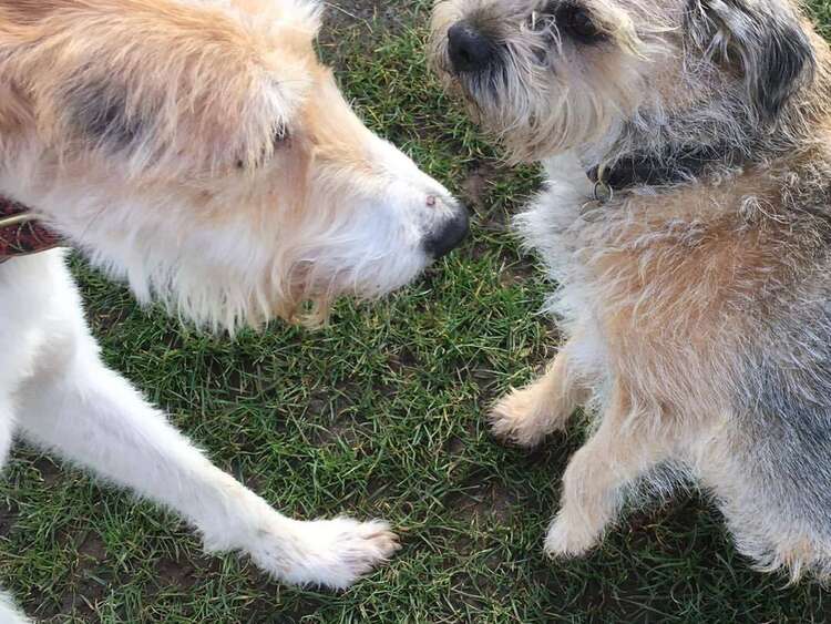 277760339 2592495334214407 4288297353485692530 N