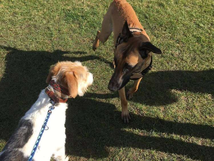 277770196 2592495340881073 6623743404878262358 N