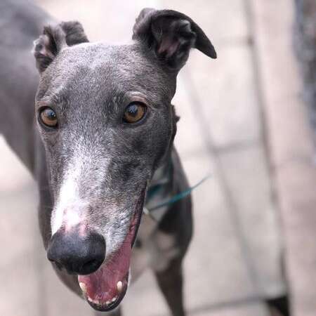 273222552 2550195911777683 4390930968754868320 N