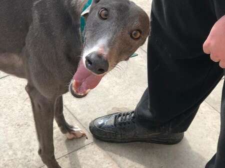 273453210 2550195901777684 3041698067373658395 N