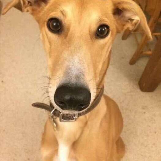 29356832 1285625694901384 6728757840523034624 N