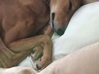 29342985 1285595761571044 3213108774084542464 N