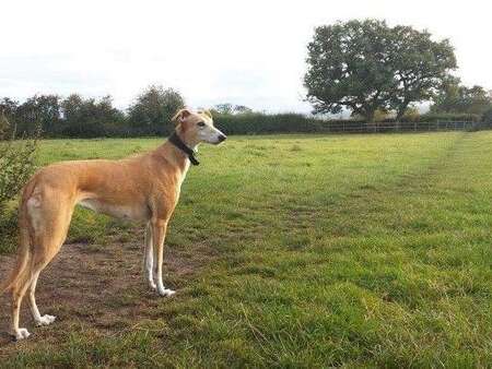 214686613 2375009089296367 6334927553750909769 N