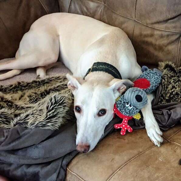 81392201 1847517145378900 2585160619556601856 N