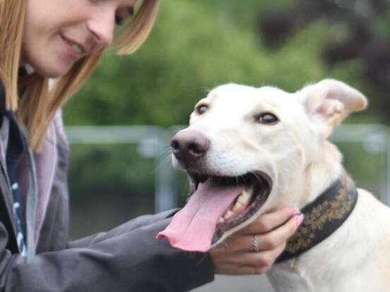 32592887 1322811331182820 5539602269525245952 N