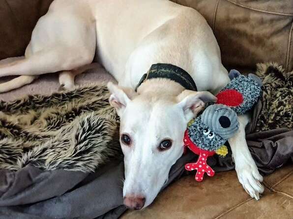 81392201 1847517145378900 2585160619556601856 N