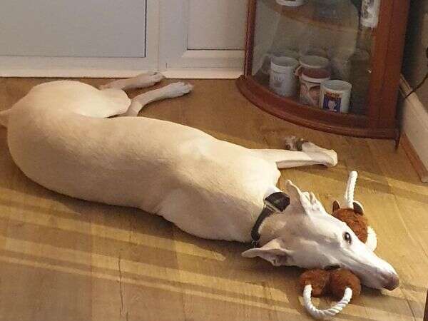 133565149 2216696451794299 5652959212829586756 N