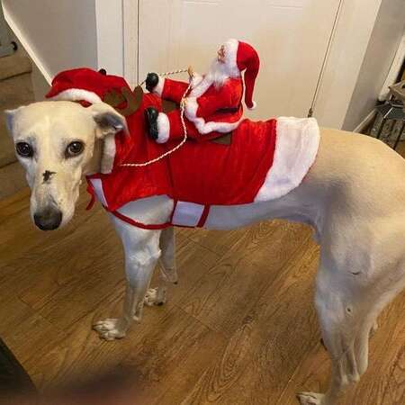 132905861 2215382408592370 98753612132444221 N