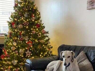 132734467 2215382398592371 9020055615375874227 N