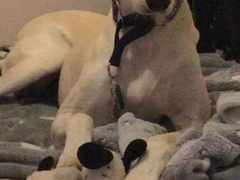 132947920 2215382388592372 3424318275398957944 N