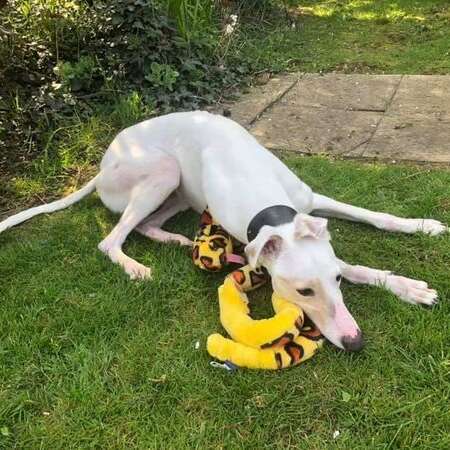 67878356 1700039723459977 3828334754445393920 N