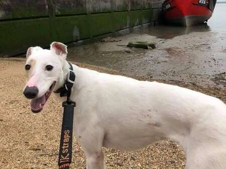 68412958 1700039703459979 762929085331537920 N