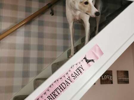 118039050 2090800587717220 5824815040488727337 N