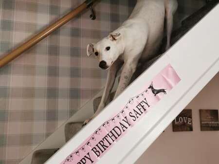 118070255 2090800294383916 4634994233370343031 N