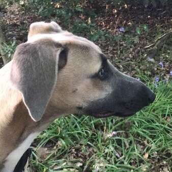 31946561 1316725741791379 4959054160054976512 N