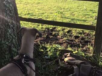 31961704 1316724278458192 7693076855737286656 N