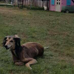 37812932 1390919061038713 3913138398373609472 N