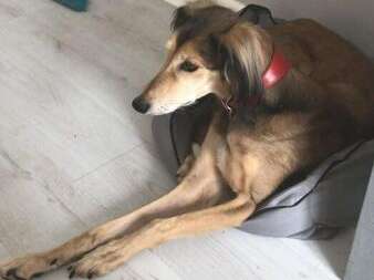 37859500 1390920174371935 8592471350008872960 N