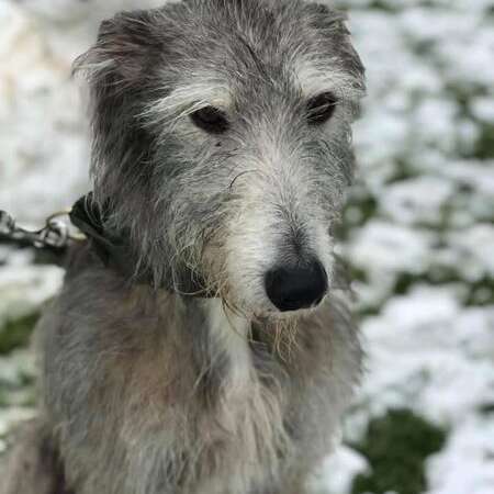 142386422 2242751285855482 1863401607469373666 N