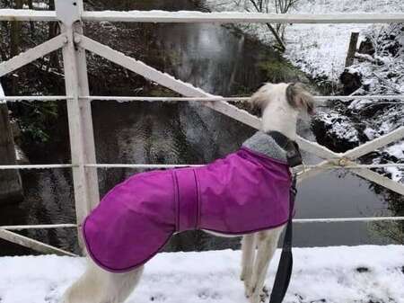 142373832 2242751305855480 6129134492986853814 N