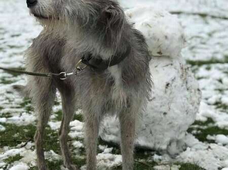 142835925 2242751292522148 4105374668071531390 N