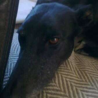 40685251 1435125556618063 7685287206696517632 N