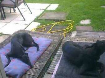 40598982 1435125633284722 3186479263884771328 N