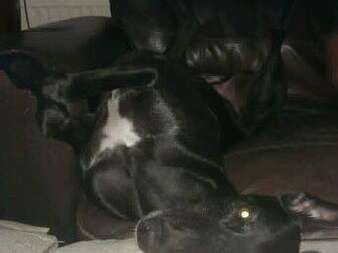 40684424 1435125489951403 824150038794993664 N