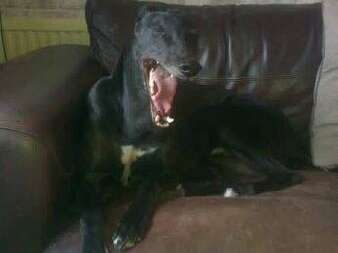 40758172 1435126729951279 3372794906530545664 N