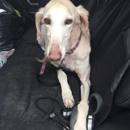 32266382 1320385788092041 1405923966291279872 N