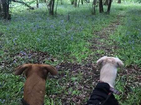 32260512 1320388848091735 3237504222685560832 N