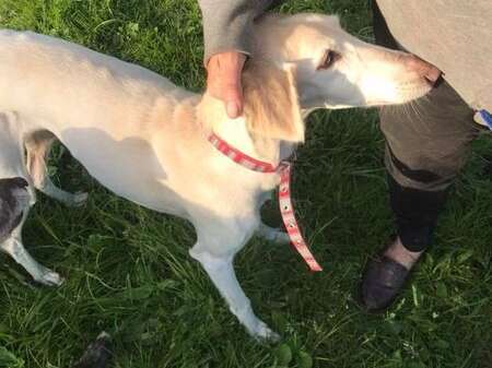 32452661 1321156081348345 5651018269553852416 N