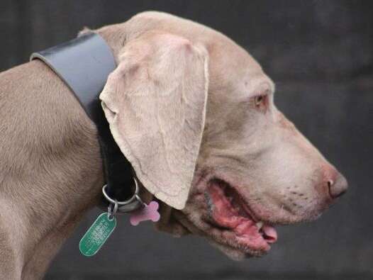 32721344 1322796764517610 3582530984366571520 N