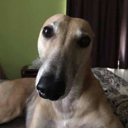 217214910 2378677658929510 7981670377088771835 N