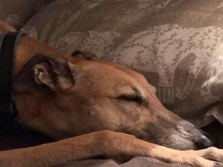 216959975 2378677802262829 1232683652558607505 N