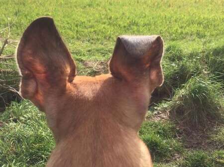 104098333 2018789194918360 1580937444836457417 N