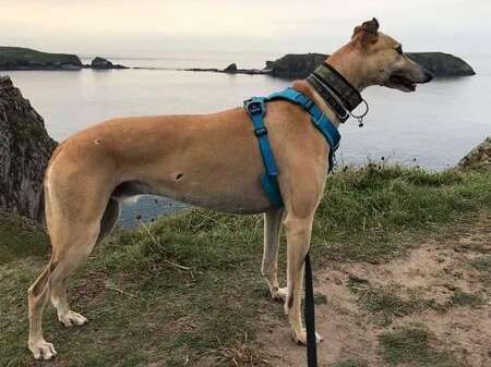 217297261 2378677835596159 6694753725730889357 N