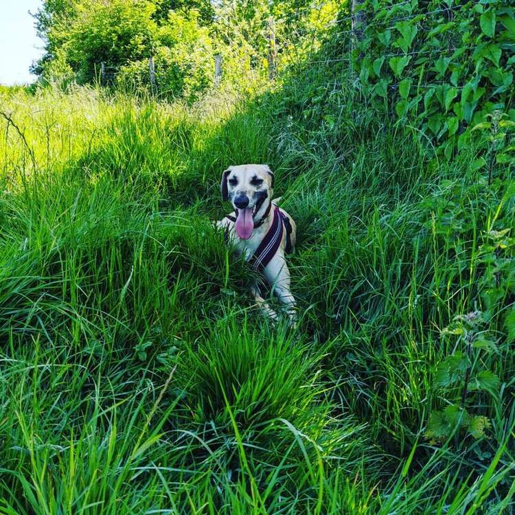 101688919 2008035025993777 4523425466991771648 N