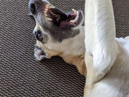 82490370 2008035005993779 8056224969203384320 N