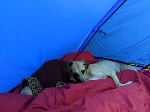 82585733 2008035085993771 8476270034858016768 N